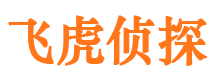 突泉市调查公司